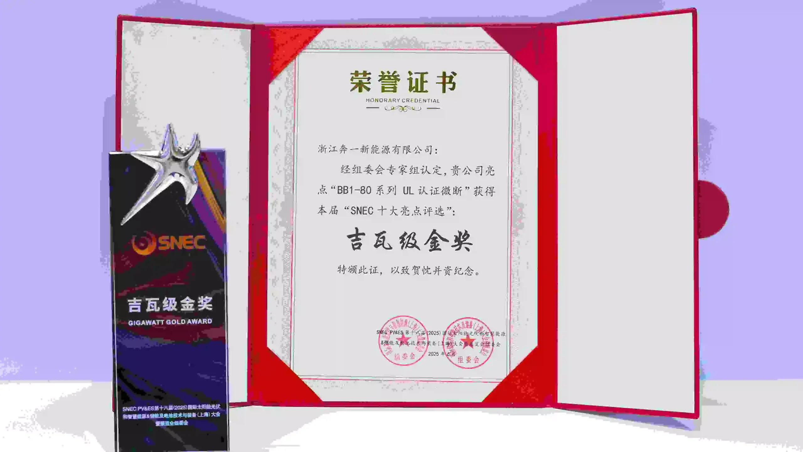 GW-level Gold Award in SNEC's "Top Ten Highlights" Awards